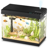 Xyingshine 2.5-gallon tank front view with clear water and compact desk-friendly design.