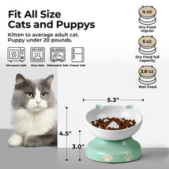 Y YHY elevated ceramic cat bowl promotes comfortable dining posture