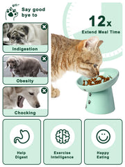 Y YYHY 12-times-slower-eating design promotes mindful meals for cats.