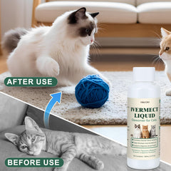 Yakucho Dewomax liquid for kittens supports gentle digestive comfort in daily routine