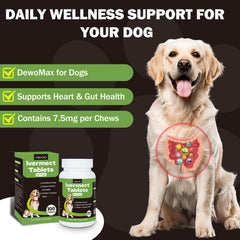 Yakucho lvermect tablets for dogs packaging; ready for storage and use.