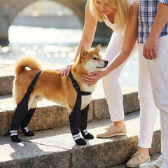 YAQUHO connected harness keeps all four boots in place during walks and outdoor play
