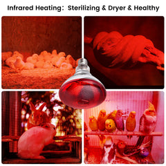 YEAOI E26 base lamp compatible with standard sockets.