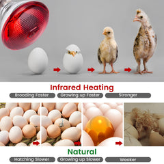 YEAOI infrared red light for brooders keeps chicks cozy.