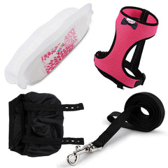 Yesito adjustable chicken harness shows secure, comfortable fit for small birds