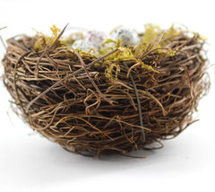 YEUQWJ four moss packs for lush, natural nest accents.