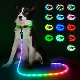 YFbrite light-up dog leash with LED strip for bright night-time visibility.
