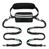 Yicostar hands-free two-dog leash in use for safer, hands-free walking