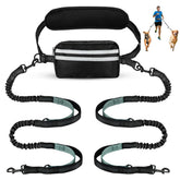 yicostar hands free two-dog leash showing dual sections for balanced control.