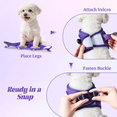 YIMEIS harness step-in design enables quick on-and-off in purple