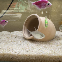 YISZM beige sand poured into a display tank demonstrates easy leveling