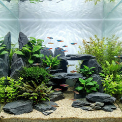 YISZM slate rock 5-7 inch creates dramatic height for aquascapes