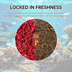 Yizeril close-up of freeze-dried bloodworms showing texture for palatability
