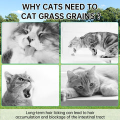 Yizeril hairball control cat grass snacks with natural fibers.