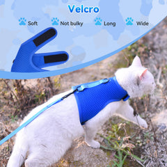 YIZHI MIAOW vest-style harness with training videos included