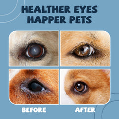 Dog eye comfort application scene using Yocisku drops