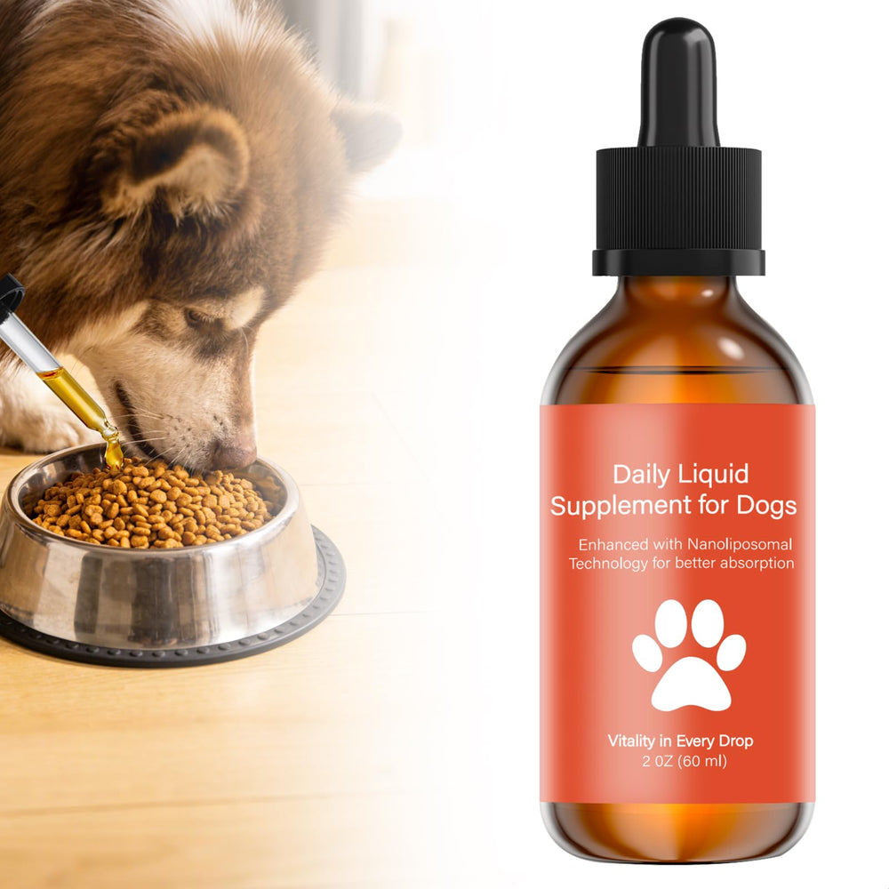 YOMXEN dog longevity NAD-NMN bottle emphasizes easy daily dosing for vitality
