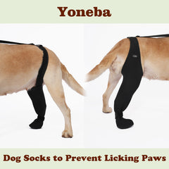 Yoneba breathable leg sleeve offers secure paw protection during recovery