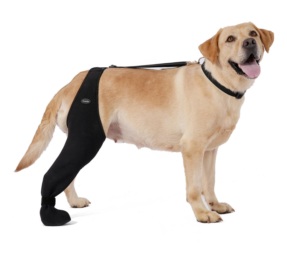Yoneba dog socks prevent paw licking with breathable fabric for comfort
