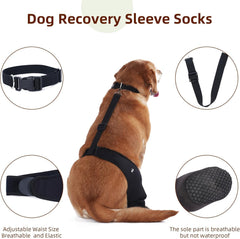 Yoneba secure-fit paw sleeve stays on without chewing or slipping.