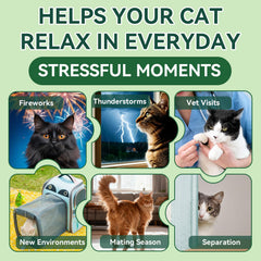 YOTANGO cat calming treats chicken-flavor core enticing picky cats