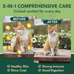 YOTANGO flea chews promote a shiny coat and healthy skin.