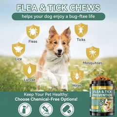 Dog happily taking a YOTANGO chew as a daily treat.