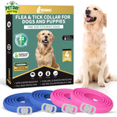 YOTANGO four-pack flea collar for dogs in blue and pink, extended protection.