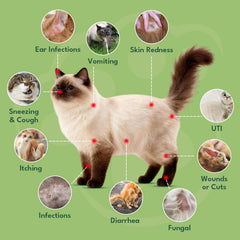 YOTANGO cat antibiotics drops being mixed with food for convenience.