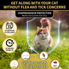 YOTANGO waterproof cat flea collar ready for rain or baths.