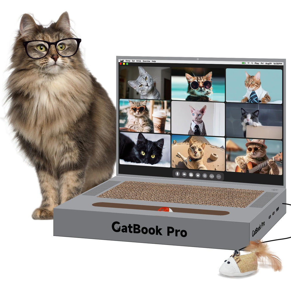 YOUXIFUN cat-scratcher laptop front view invites gentle play and curiosity