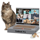 YOUXIFUN cat-scratcher laptop front view invites gentle play and curiosity