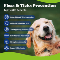 YoYoBay beef carrot flavor chews tempt dogs while supporting wellness.