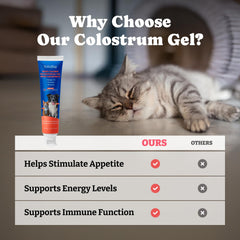 YoYoBay Colostrum Gel being applied to an older dog.
