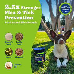 YoYoBay dog flea and tick prevention chews bottle, convenient daily protection