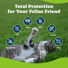 YoYoBay natural ingredients featuring catnip, flaxseed, and brewer’s yeast