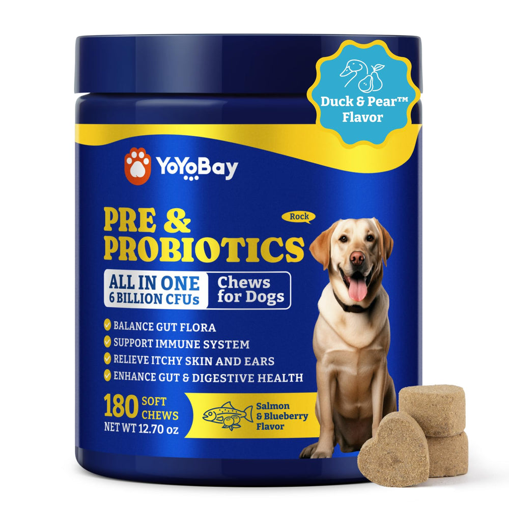 YoYoBay Probiotics for Dogs bottle closeup highlighting quality ingredients for digestive support.