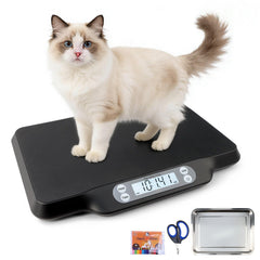 YTCYKJ digital pet scale platform on a spacious stainless surface for easy, accurate weighing.