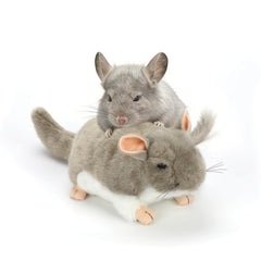 YUEPET chinchilla cuddler with round body plush for safe hugging and lounging.