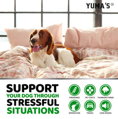 Beef-flavor chews designed for dogs with potential calming support during daily activities.
