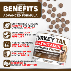 YUMA'S mushroom chews bottle close-up shows ingredients for gut health.