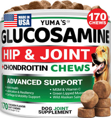 YUMA'S Glucosamine for Dogs bottle showcases joint support chews