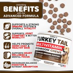 YUMA'S immune-support dog mushroom chews for daily vitality