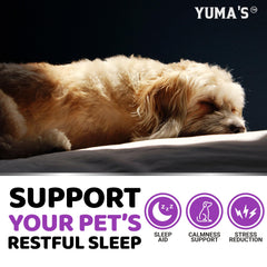 Ingredients and natural components of YUMA'S Melatonin for Dogs