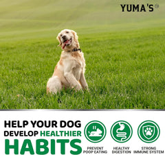 YUMA'S No Poo Chews dog meal time scene suggests easy, consistent dosing.