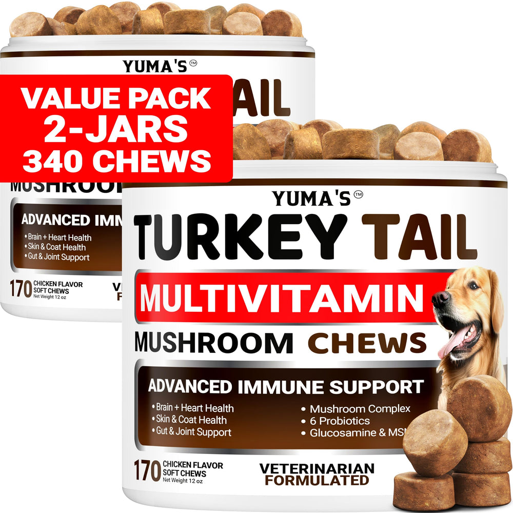 YUMA'S Turkey Tail dog chews front label highlighting immune support.