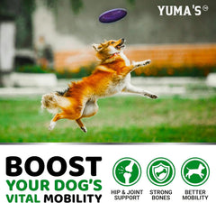 YUMA'S veterinarian-formulated dog supplement chews suitable for all ages and sizes.