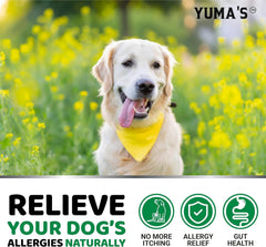 YUMA'S dog allergy chews dog-eating moment highlighting simple daily dosing