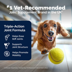 YuMOVE ActivEase green-lipped mussel concentrate boosts omega-3 intake for joint comfort.