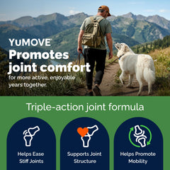 YuMOVE ActivEase Green Lipped Mussel ingredient foreground highlights premium joint support.